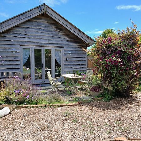 Three Oaks Nursery Chichester Luaran gambar