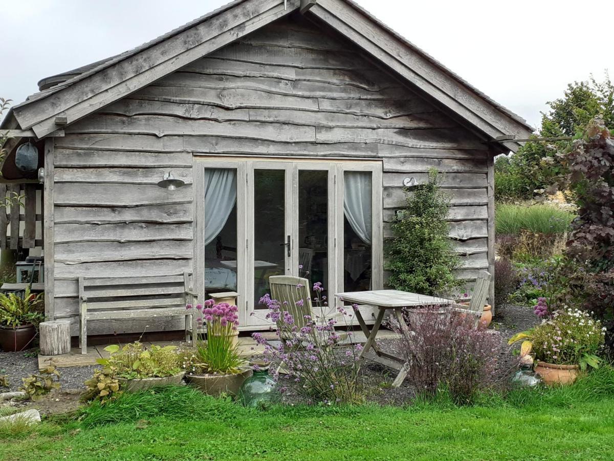 Three Oaks Nursery Chichester Luaran gambar